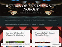 Tablet Screenshot of diaryofaninternetnobody.com